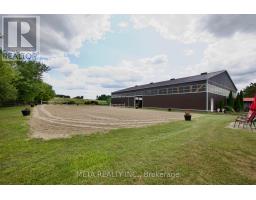 5653 7th Line, New Tecumseth, ON L0G1A0 Photo 10