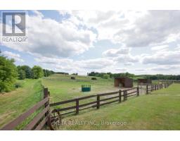5653 7th Line, New Tecumseth, ON L0G1A0 Photo 16