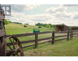 5653 7th Line, New Tecumseth, ON L0G1A0 Photo 17