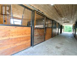 5653 7th Line, New Tecumseth, ON L0G1A0 Photo 18