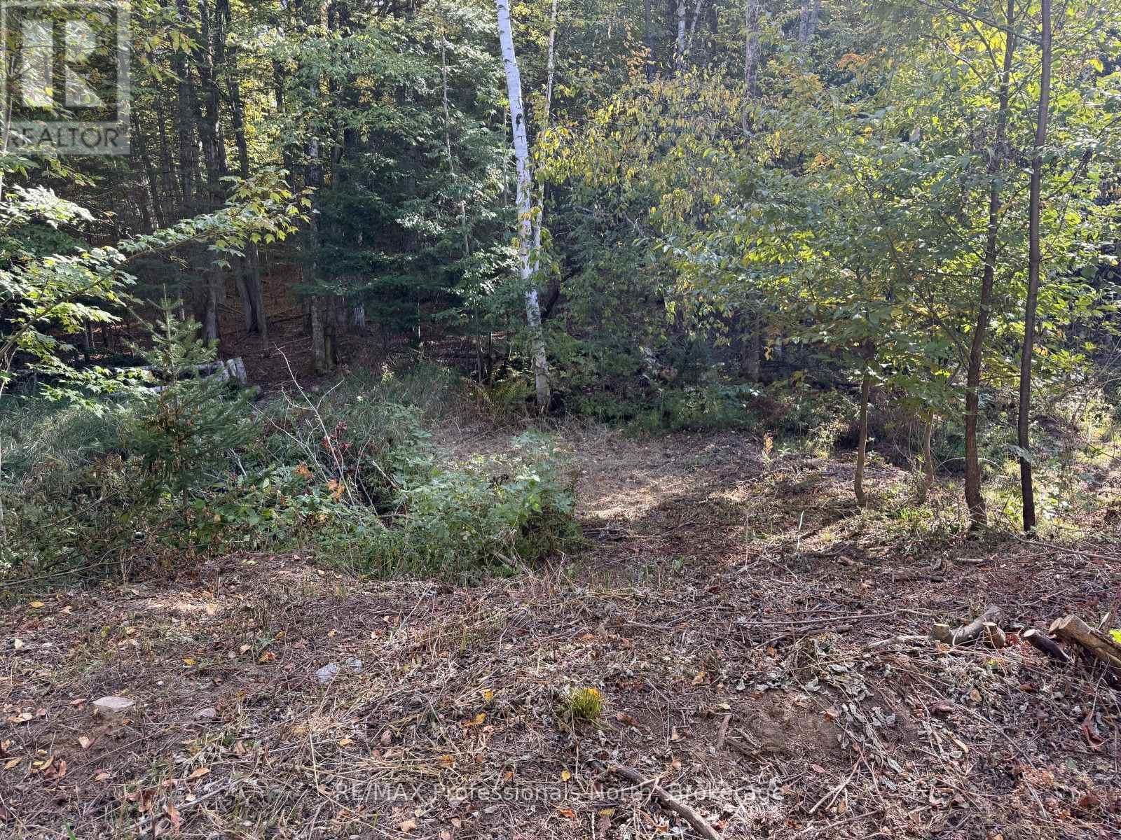 North Drive — photo 8