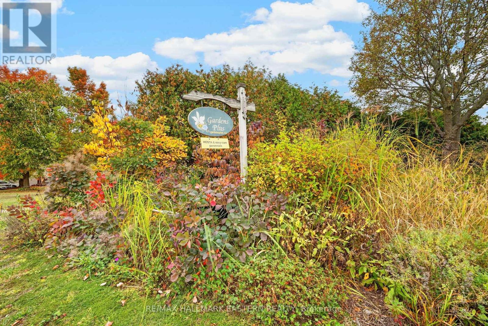 136 County 4 Road, Douro-Dummer, ON photo 38