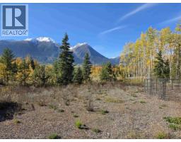 6380 Dawsons Lane, Smithers, BC V0J2N2 Photo 17