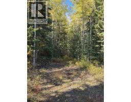 6380 Dawsons Lane, Smithers, BC V0J2N2 Photo 21