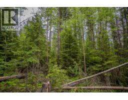 Lot 88 Julsrud Road, Deka Lake / Sulphurous / Hathaway Lakes, BC V0K1X3 Photo 10
