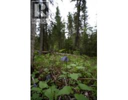 Lot 88 Julsrud Road, Deka Lake / Sulphurous / Hathaway Lakes, BC V0K1X3 Photo 11