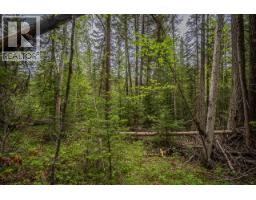 Lot 88 Julsrud Road, Deka Lake / Sulphurous / Hathaway Lakes, BC V0K1X3 Photo 6