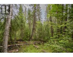 Lot 88 Julsrud Road, Deka Lake / Sulphurous / Hathaway Lakes, BC V0K1X3 Photo 7