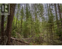 Lot 88 Julsrud Road, Deka Lake / Sulphurous / Hathaway Lakes, BC V0K1X3 Photo 8