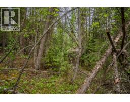 Lot 88 Julsrud Road, Deka Lake / Sulphurous / Hathaway Lakes, BC V0K1X3 Photo 9