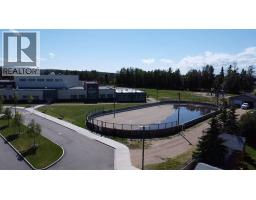 66 Cedar Heights, Whitecourt, AB T7S0A4 Photo 25