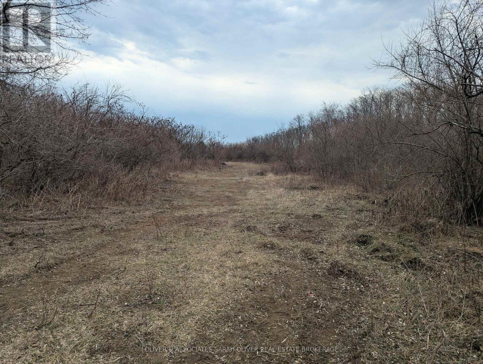Gray Line — photo 14