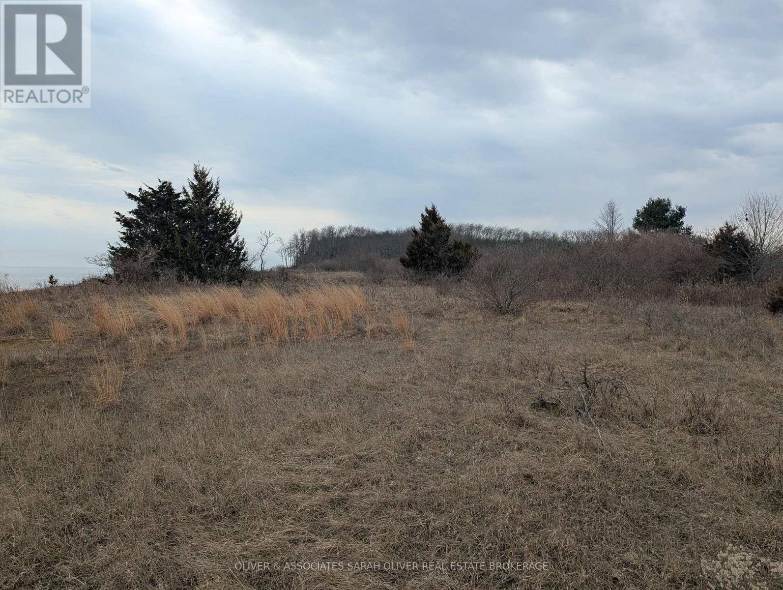 Gray Line — photo 7