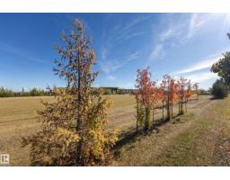 2879 23 St Nw, Edmonton, AB T6T0A2 Photo 40