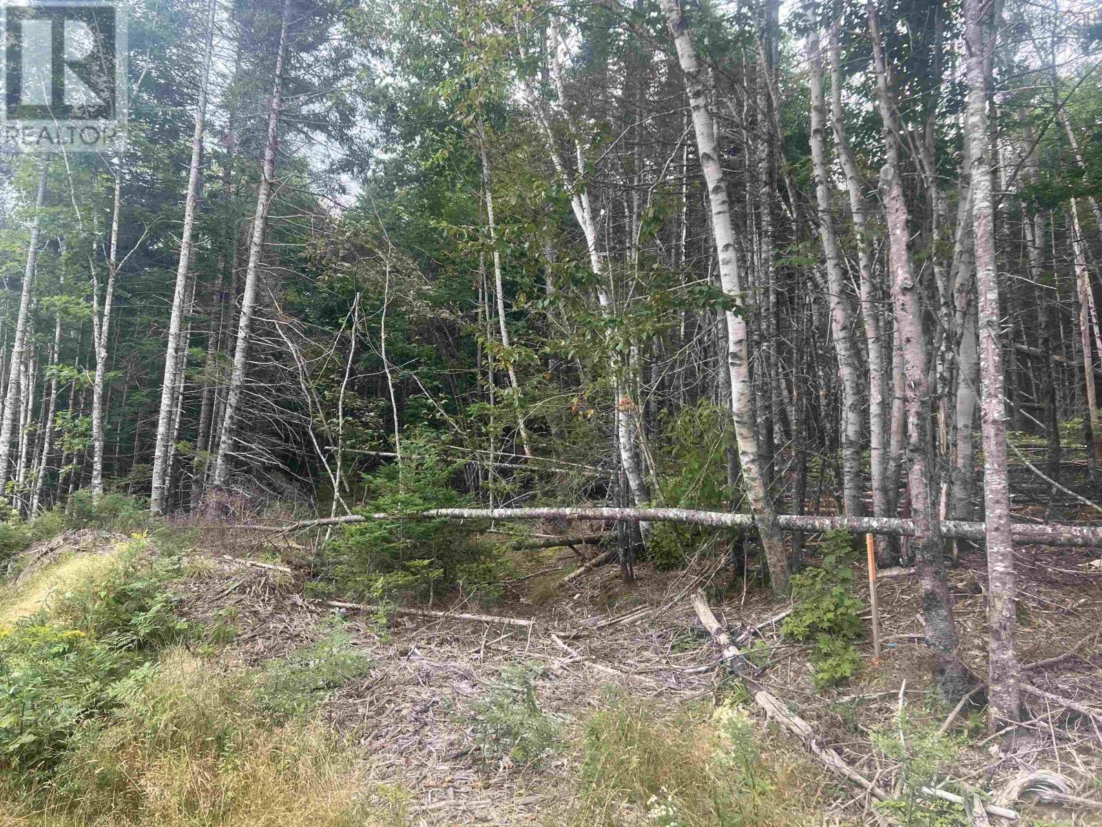 Property 4 of 11 of Lochiel Lake Road