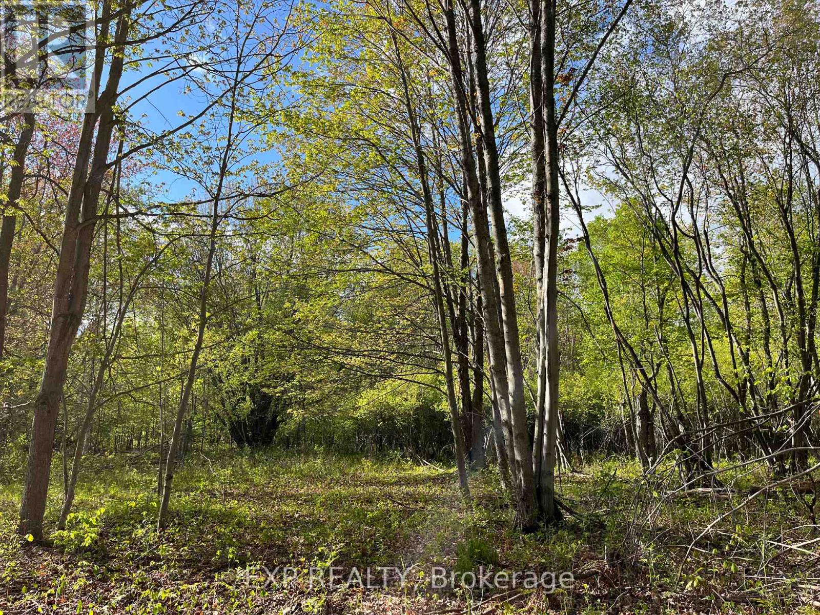 Lot 4 Sandy Shores Trail — photo 10