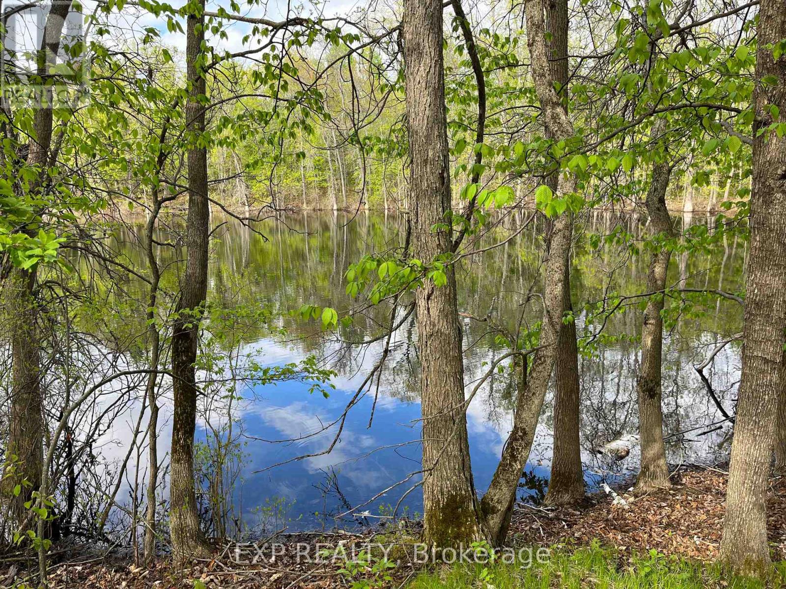 Lot 4 Sandy Shores Trail — photo 4