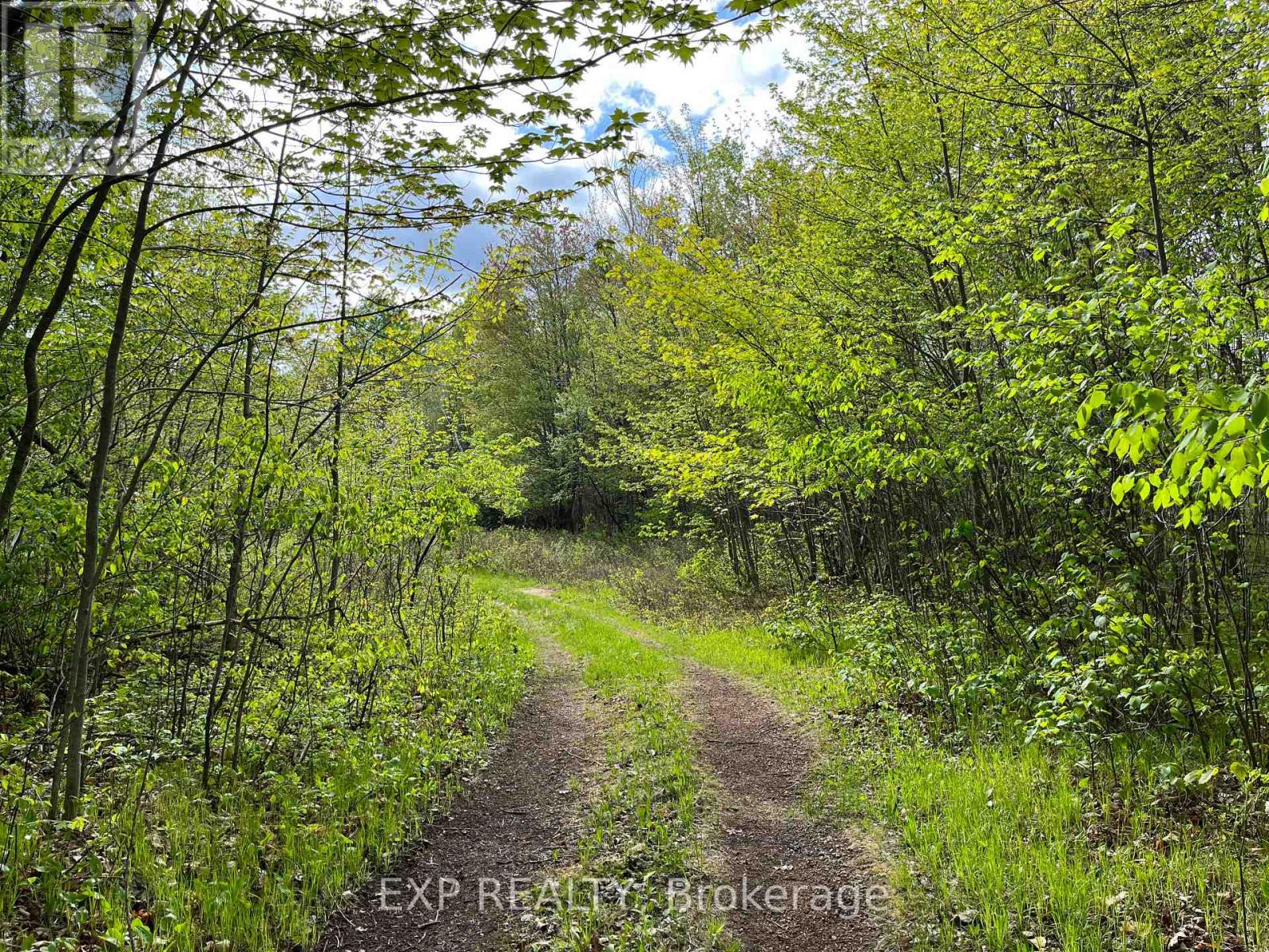 Lot 4 Sandy Shores Trail — photo 7