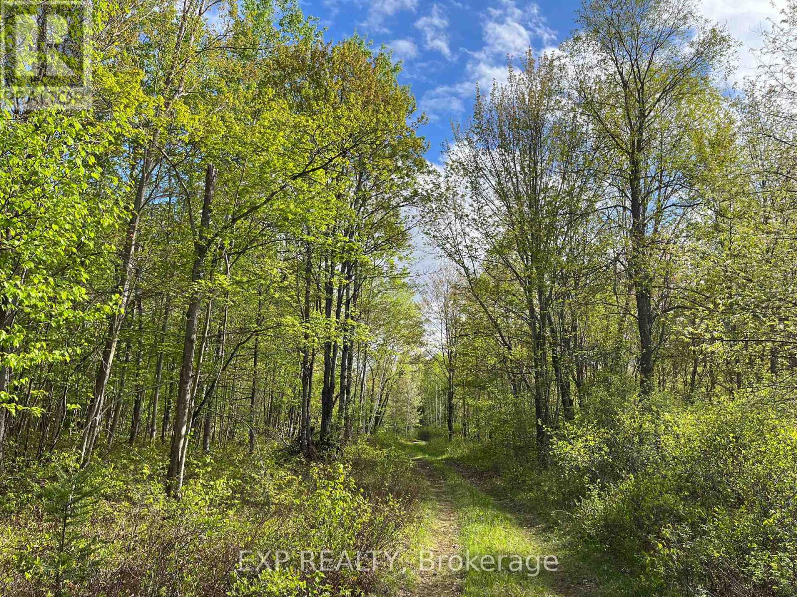 Lot 4 Sandy Shores Trail — photo 8