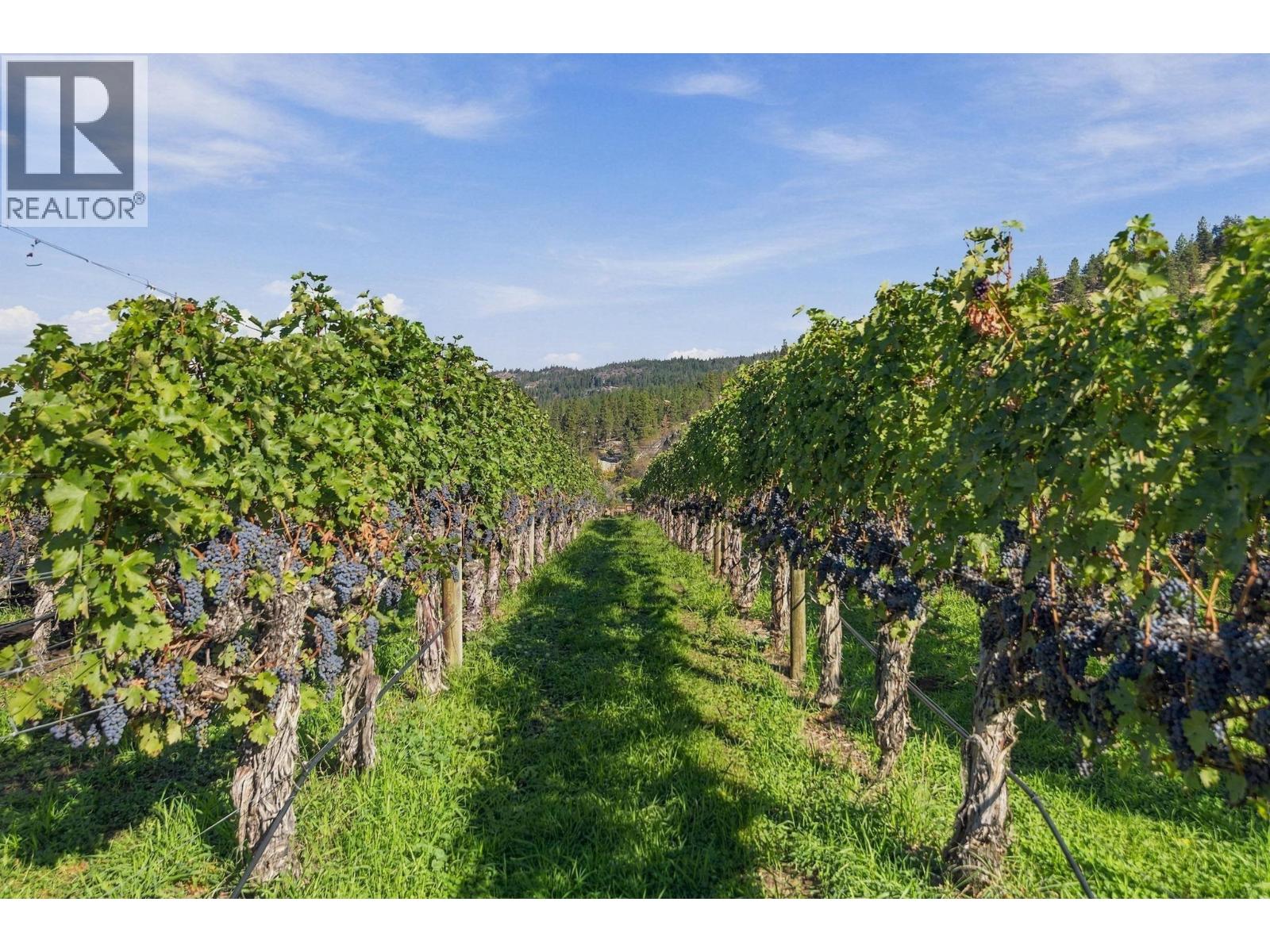 1060 King Drive, Naramata
