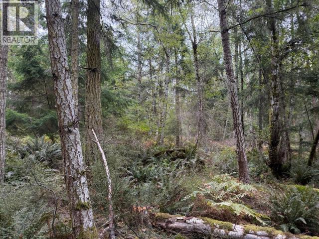 Photo 26 of 42