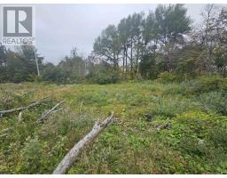 42 & 46 Church Street, Springhill, NS B0M1X0 Photo 7