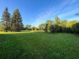 133 Peterborough Street, Elgin, MB R0K0T0 Photo 47