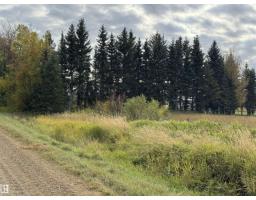 60510 Rge Rd 232, Rural Thorhild County, AB T0A3J0 Photo 32