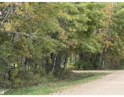 60510 Rge Rd 232, Rural Thorhild County, AB T0A3J0 Photo 30
