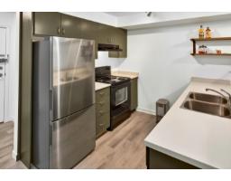 209 5465 203 Street, Langley, BC V3A9L8 Photo 14