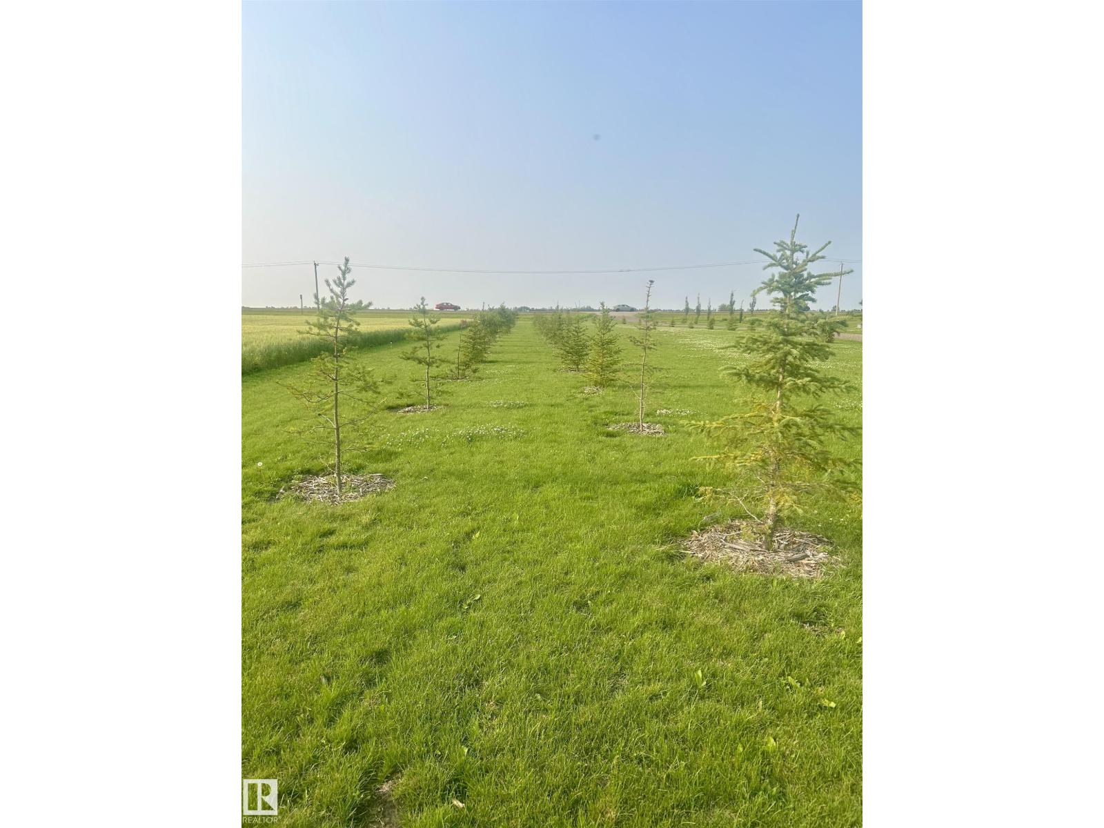 24223 Township Road 502, photo 7