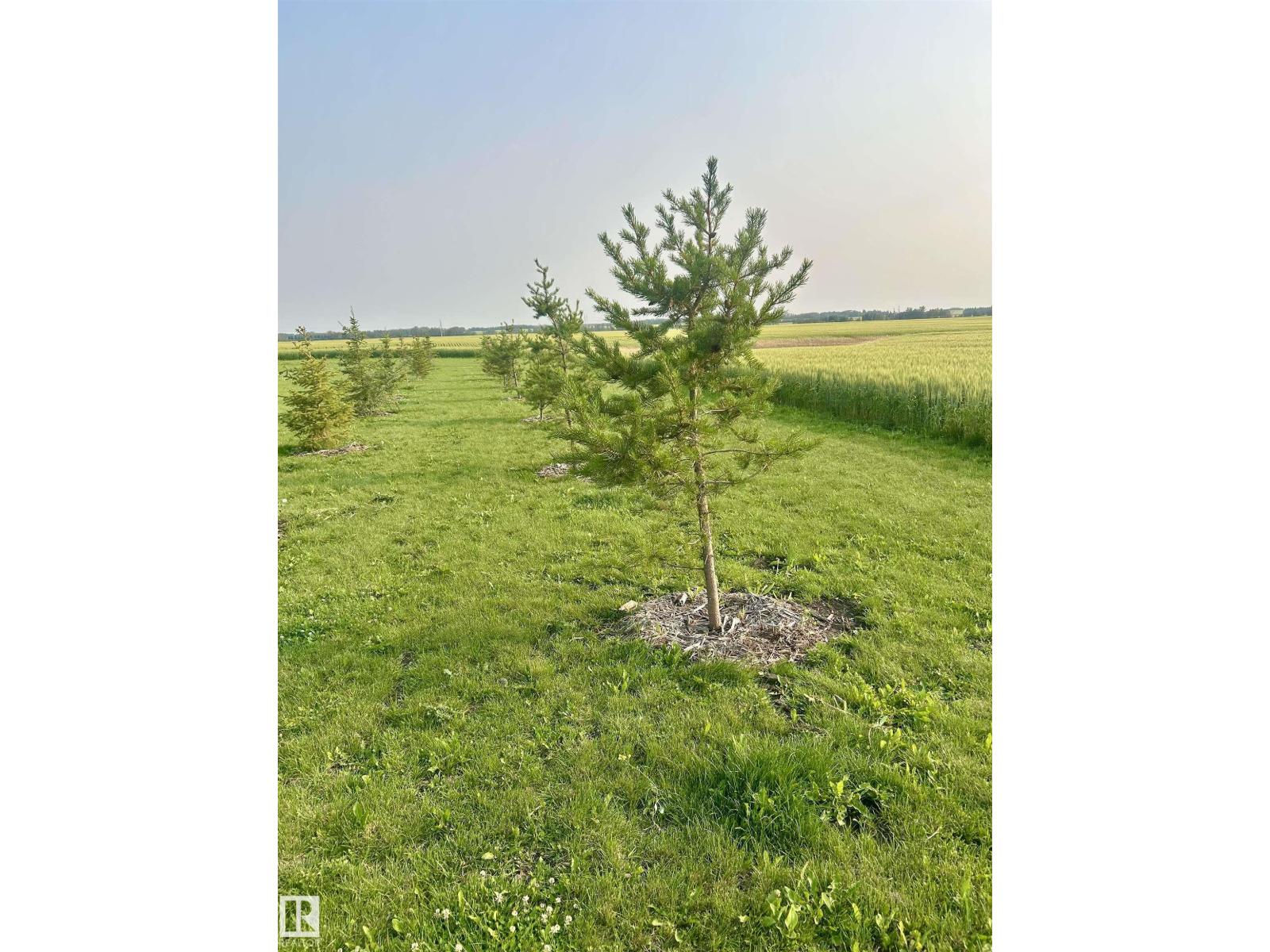 24223 Township Road 502, photo 8