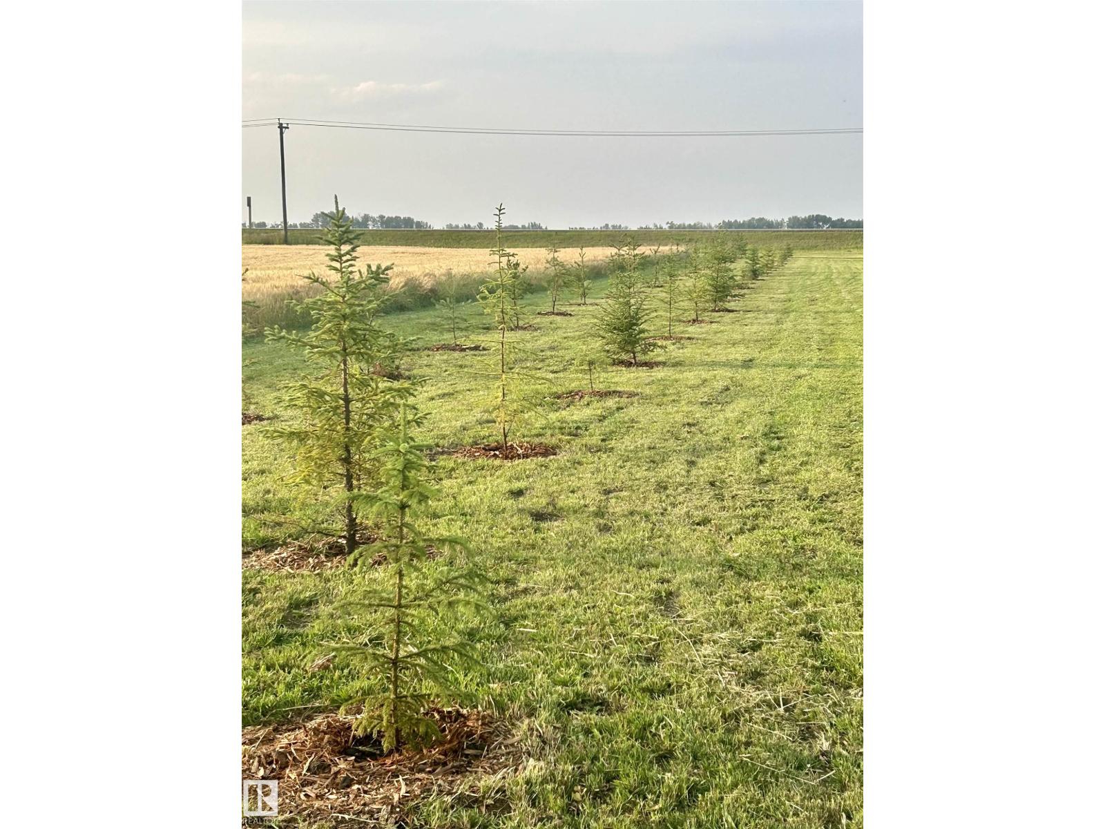 24223 Township Road 502, photo 5