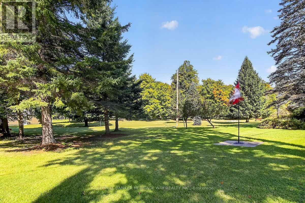 231 BOYDS ROAD - 28