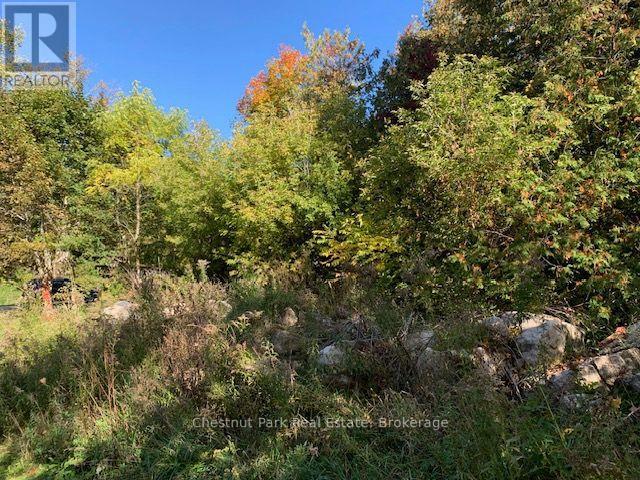 110 Church Street — photo 3