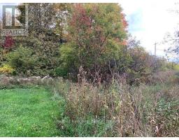 110 Church Street, Chatsworth, ON N0H2S0 Photo 10