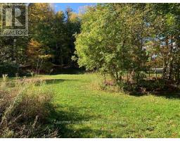 110 Church Street, Chatsworth, ON N0H2S0 Photo 15