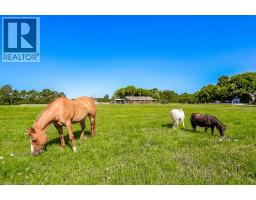 2108 Westbrook Road, Binbrook, ON L0R1C0 Photo 35