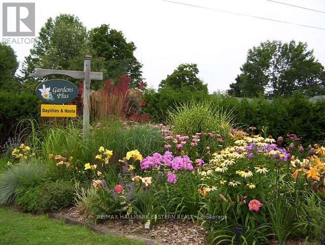 136 COUNTY 4 ROAD - Image 38