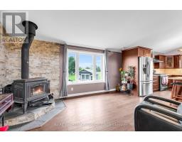 Recreational, Games room - 106008 Southgate Rd 10 Line, Southgate, ON N0C1B0 Photo 12