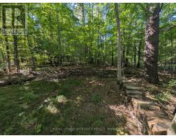 229 Norris Road, Tay Valley, ON K7H3C6 Photo 7