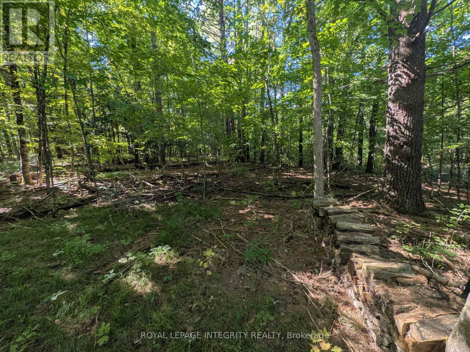 229 Norris Road — photo 23