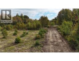 LOT Route 8 Highway, photo 7