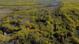 3131 94 Road N, Teulon, MB R0C3B0 Photo 21