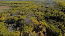 3131 94 Road N, Teulon, MB R0C3B0 Photo 16
