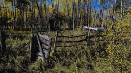 3131 94 Road N, Teulon, MB R0C3B0 Photo 23