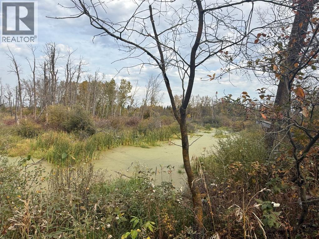 31040A TWP RD 524 - 35
