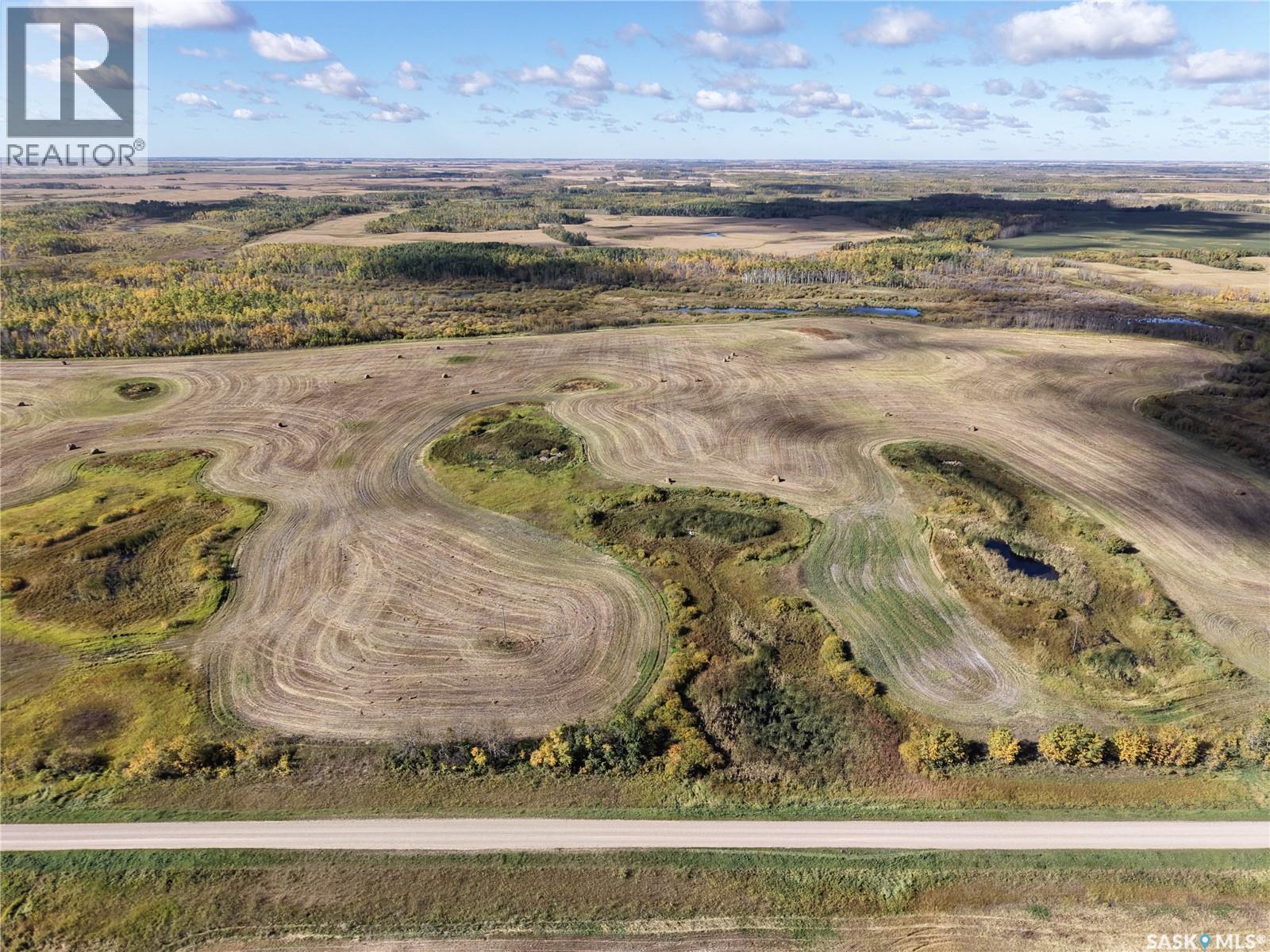 2 Quarters Mixed Use Land & Yard Site Near Sheho, Foam Lake Rm No. 276 — photo 12