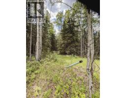 10504 794 Township, Rural Saddle Hills County, AB T0H3G0 Photo 32