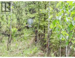 10504 794 Township, Rural Saddle Hills County, AB T0H3G0 Photo 34